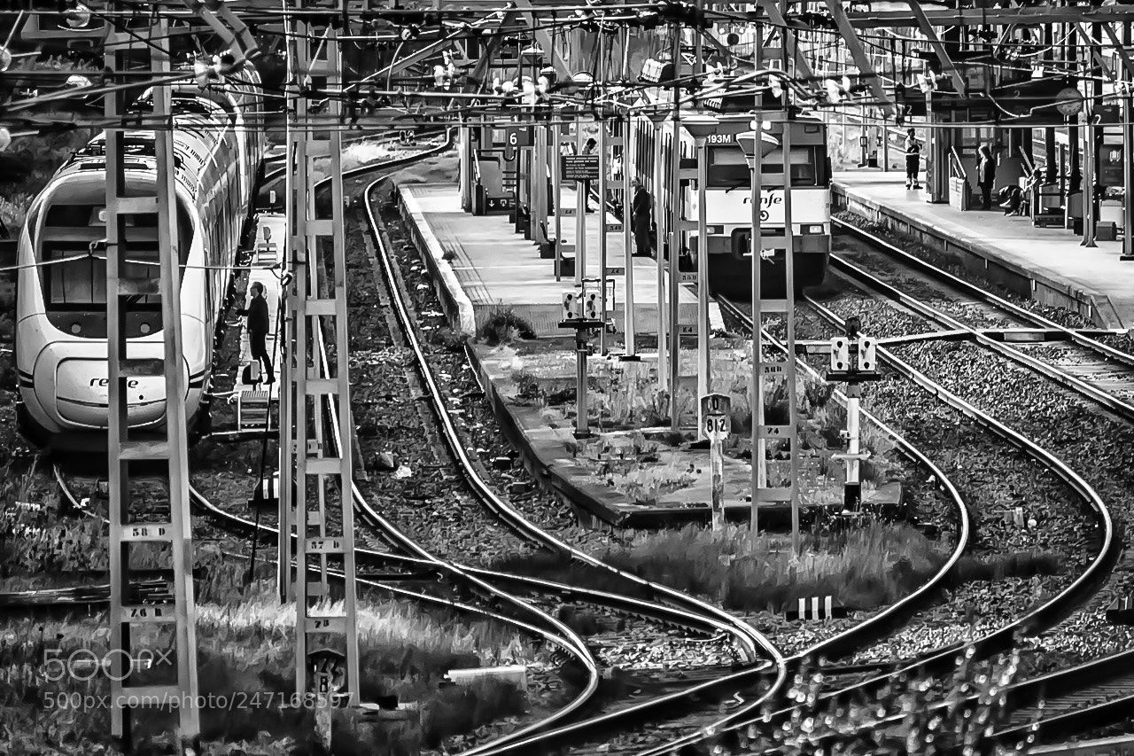 Nikon D5600 sample photo. Trenes y vias photography