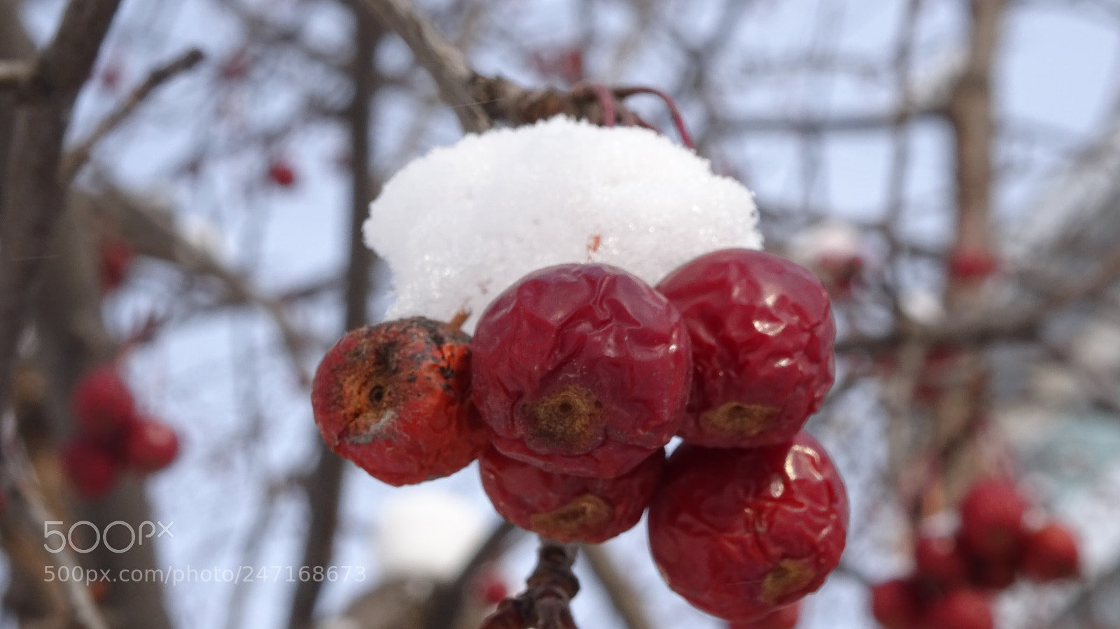 Sony Cyber-shot DSC-WX350 sample photo. Untitled photography