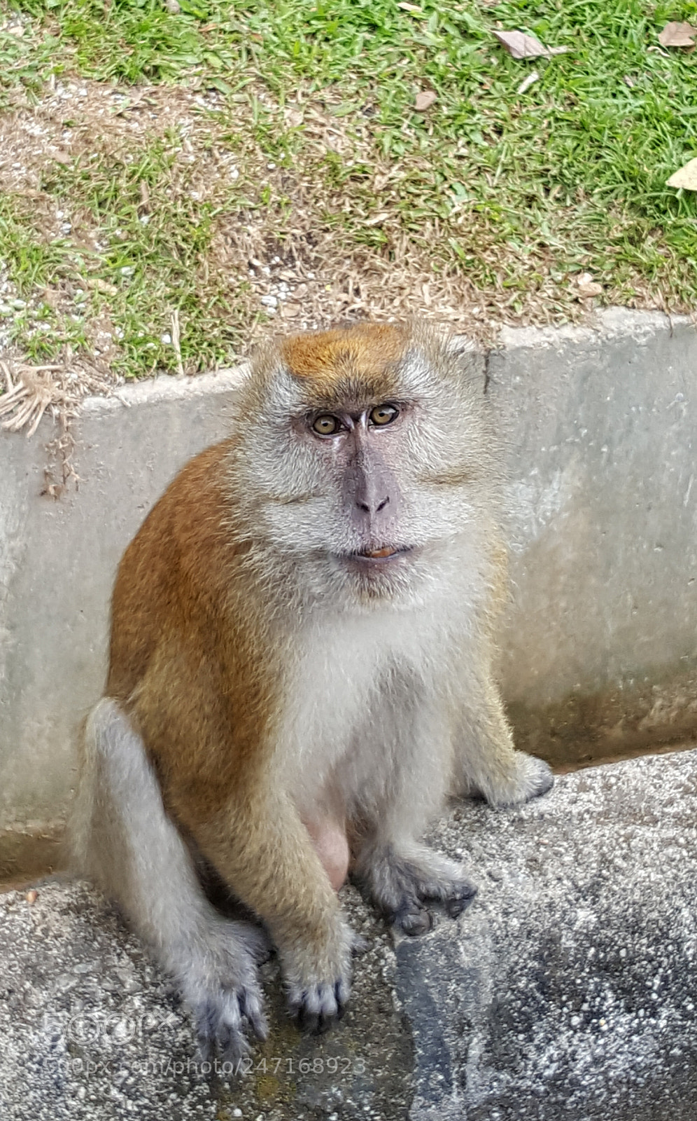 Samsung Galaxy Note5 sample photo. Untitled photography