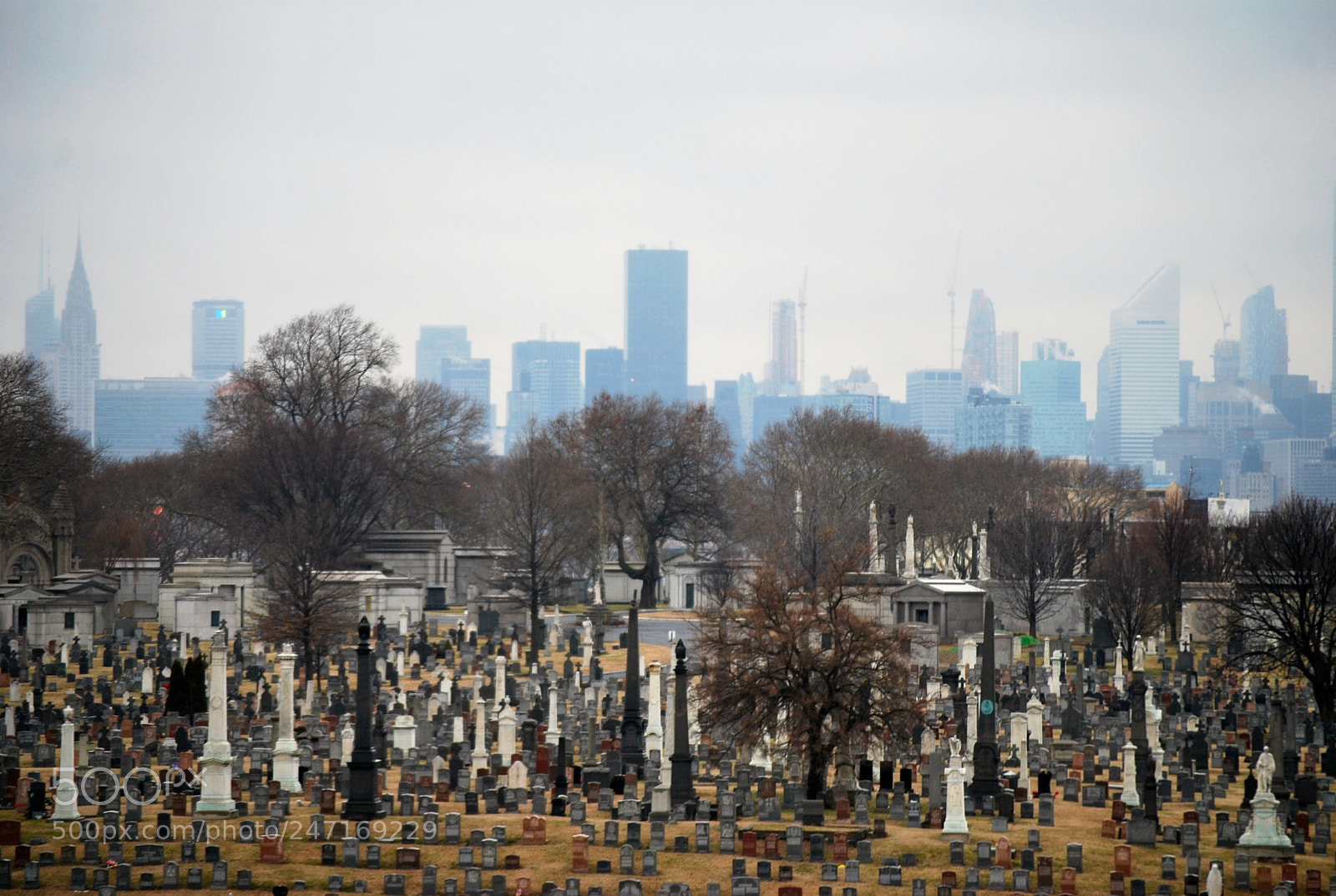 Nikon D60 sample photo. View on manhattan photography