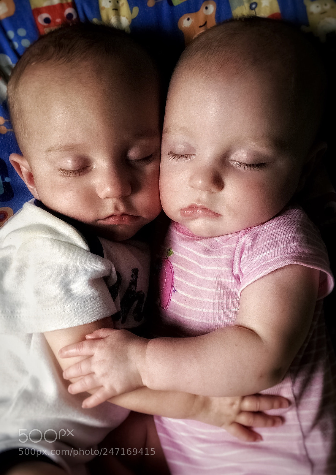 Apple iPhone 5c sample photo. Nap time photography