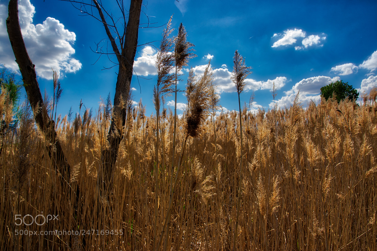 Pentax K-3 sample photo. Utah photography