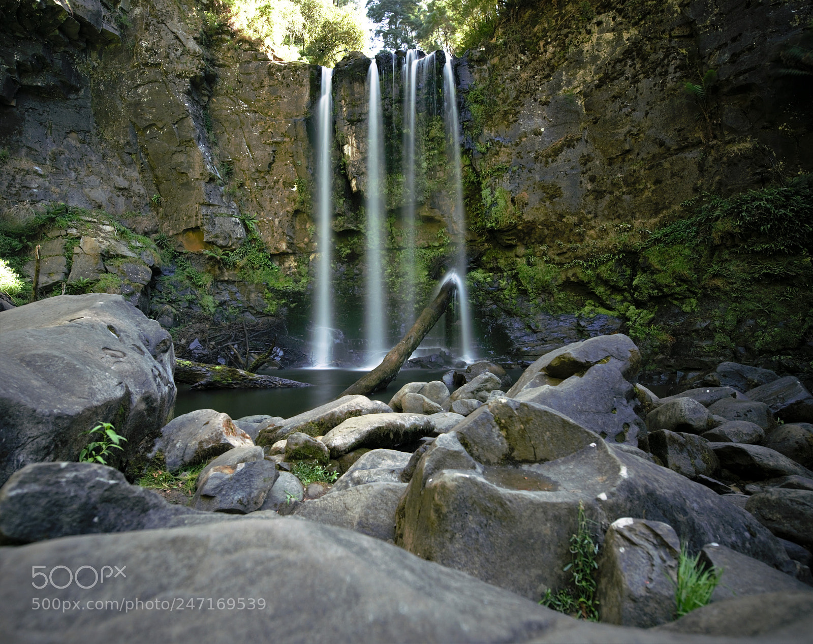 Nikon D810 sample photo. Hopetoun falls otway national photography