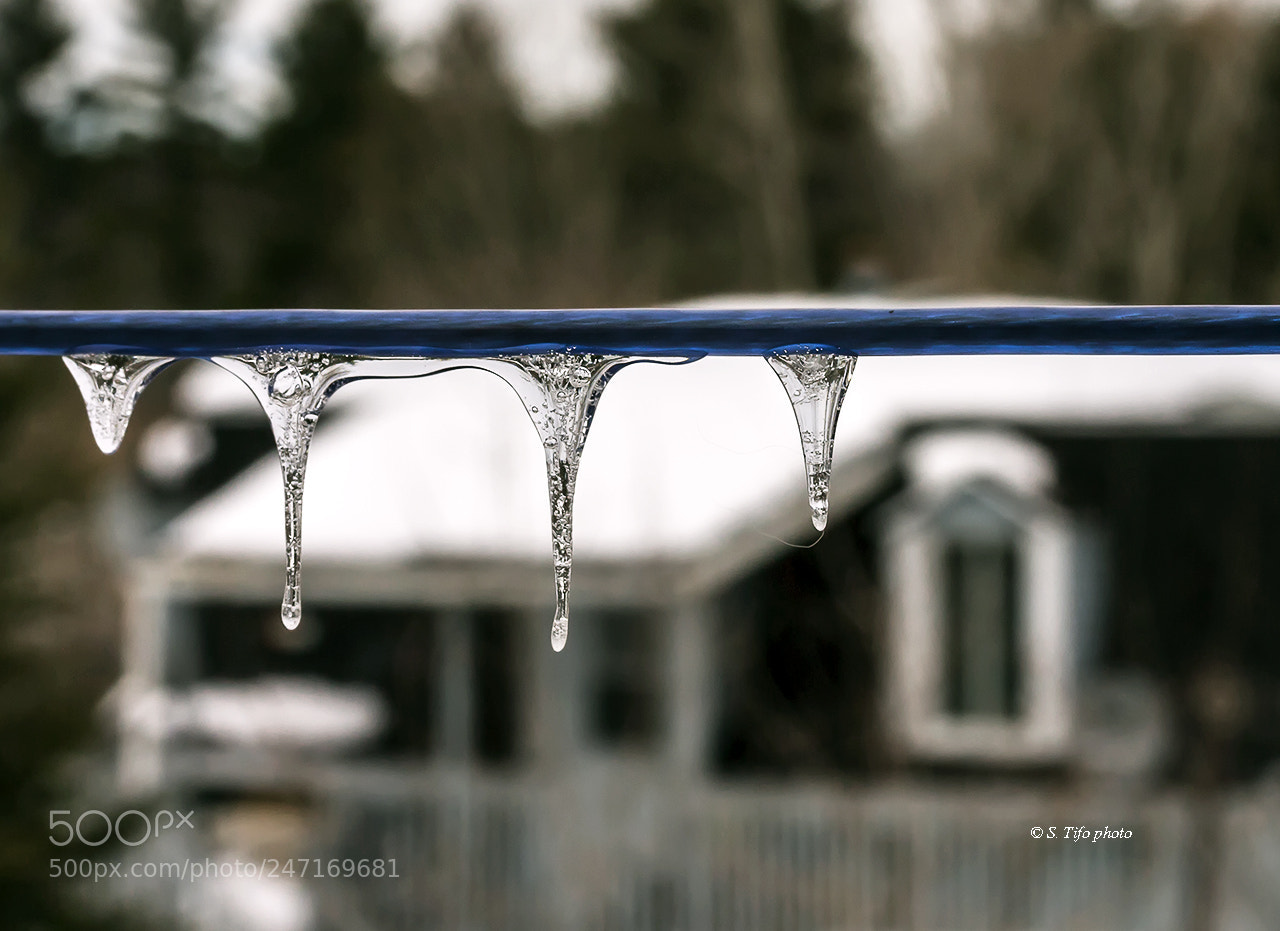 Canon EOS 7D sample photo. Little ice ... photography