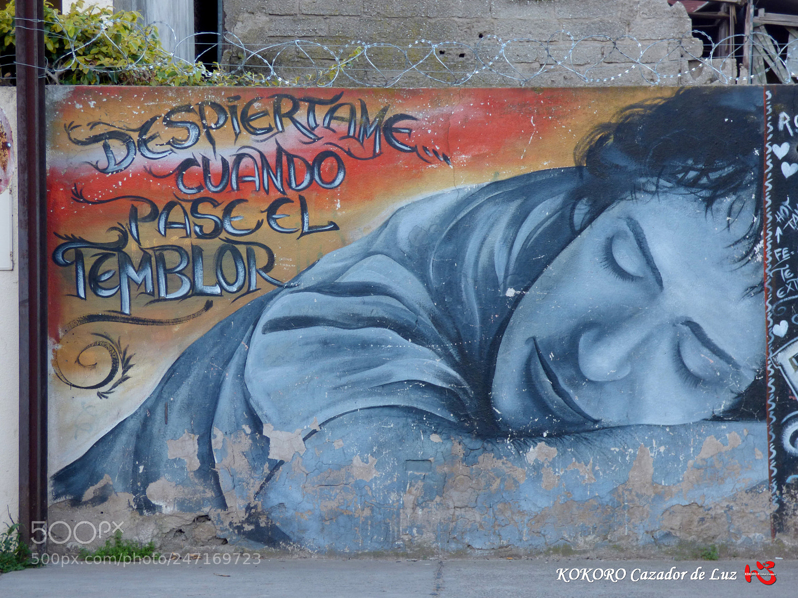 Panasonic Lumix DMC-FZ70 sample photo. Grafitis y murales (2) photography