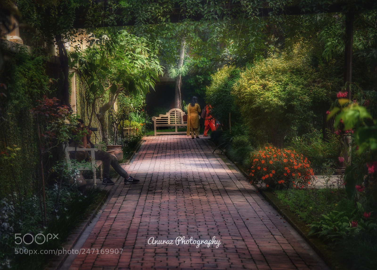 Nikon D3100 sample photo. Garden of dream photography