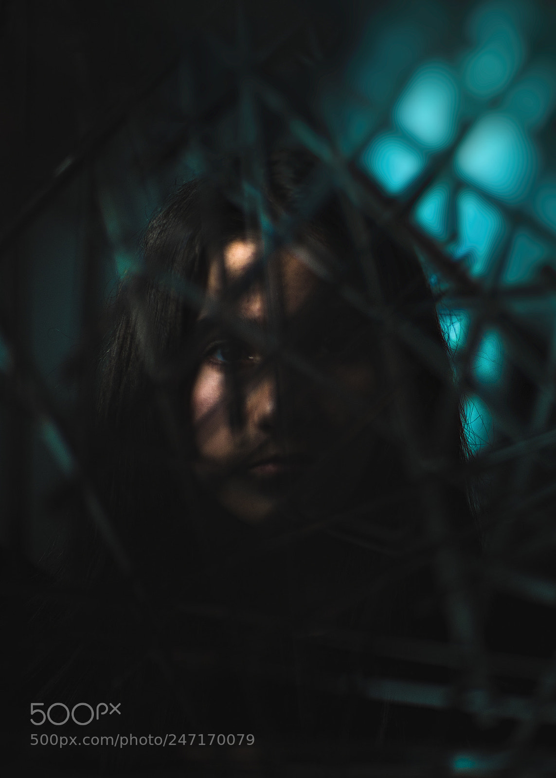 Panasonic Lumix DC-GH5 sample photo. "trapped but fearless photography