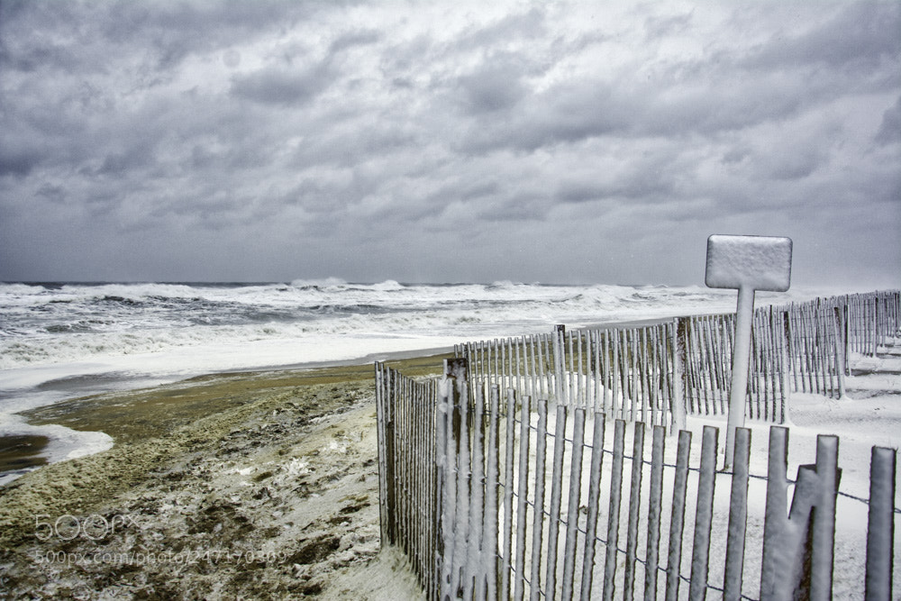 Nikon D7100 sample photo. Signs of winter photography
