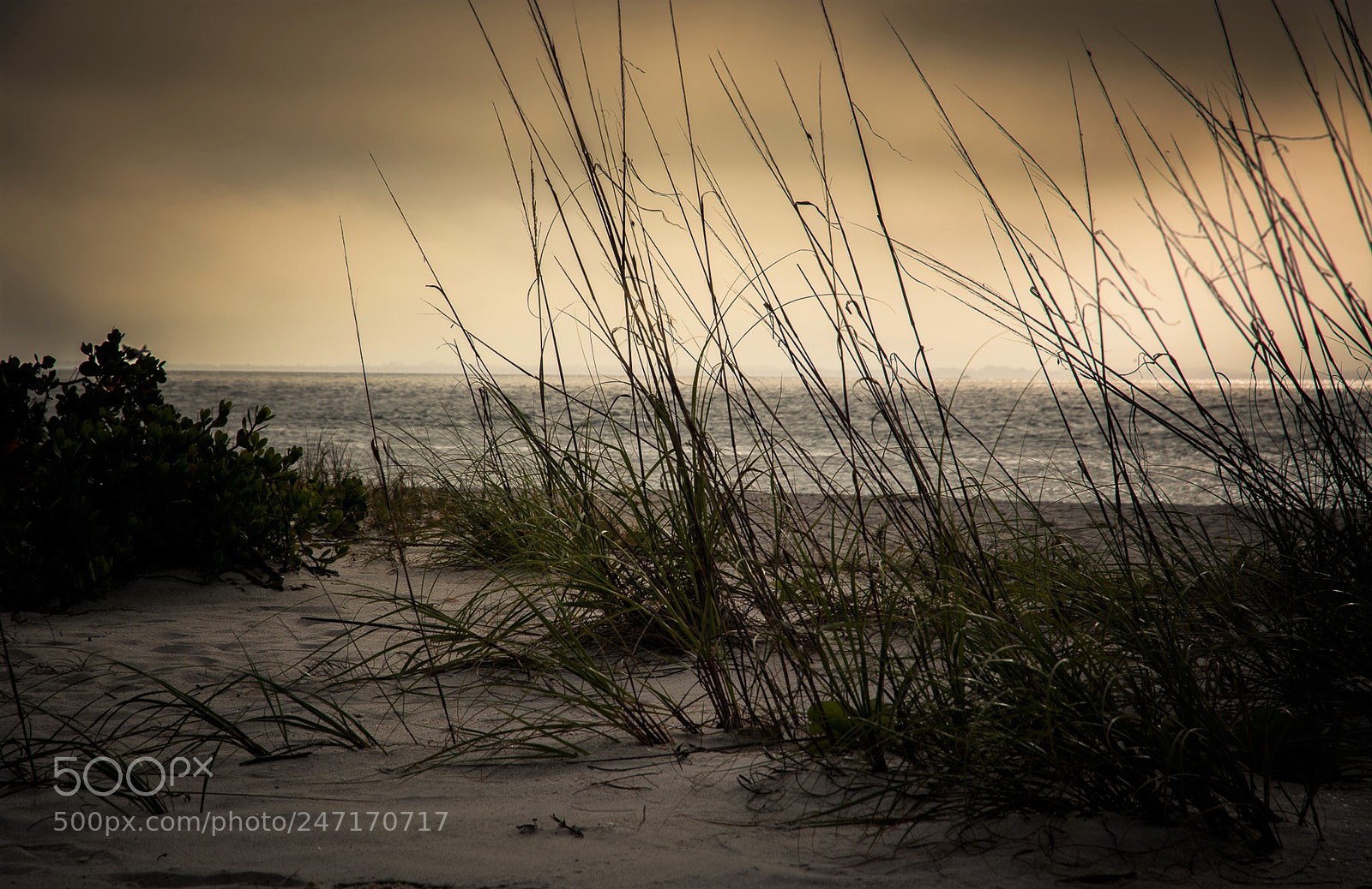 Nikon D7100 sample photo. Serenity photography