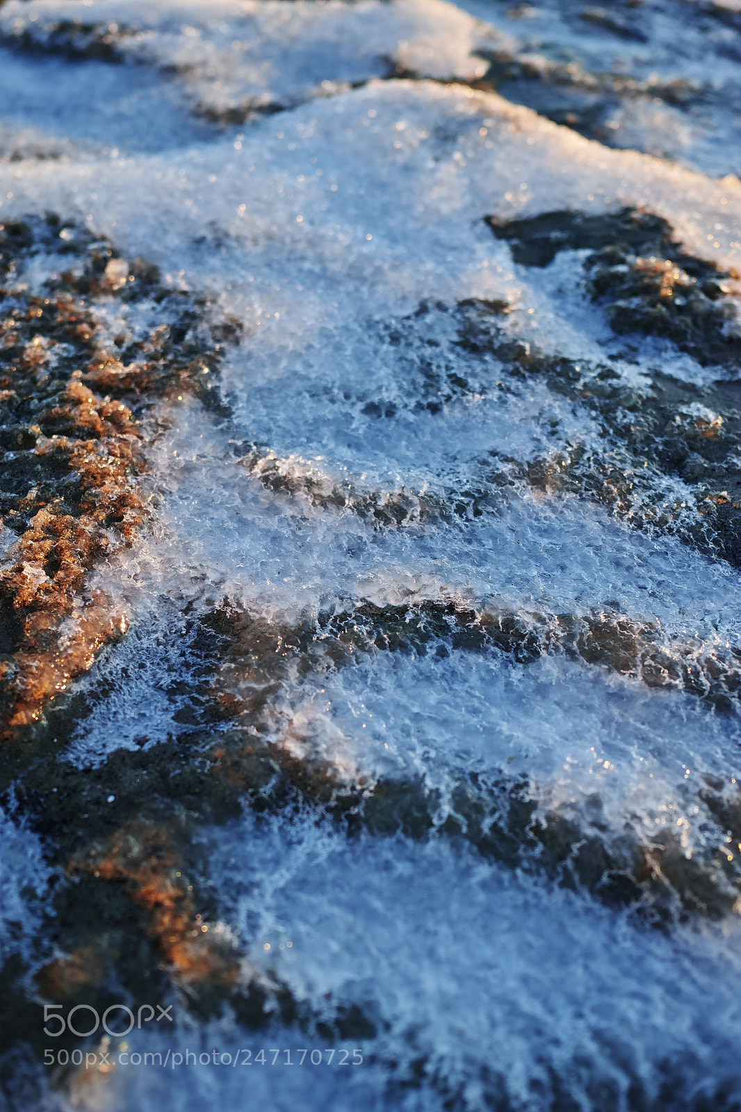 Sigma dp2 Quattro sample photo. Ice and sea photography