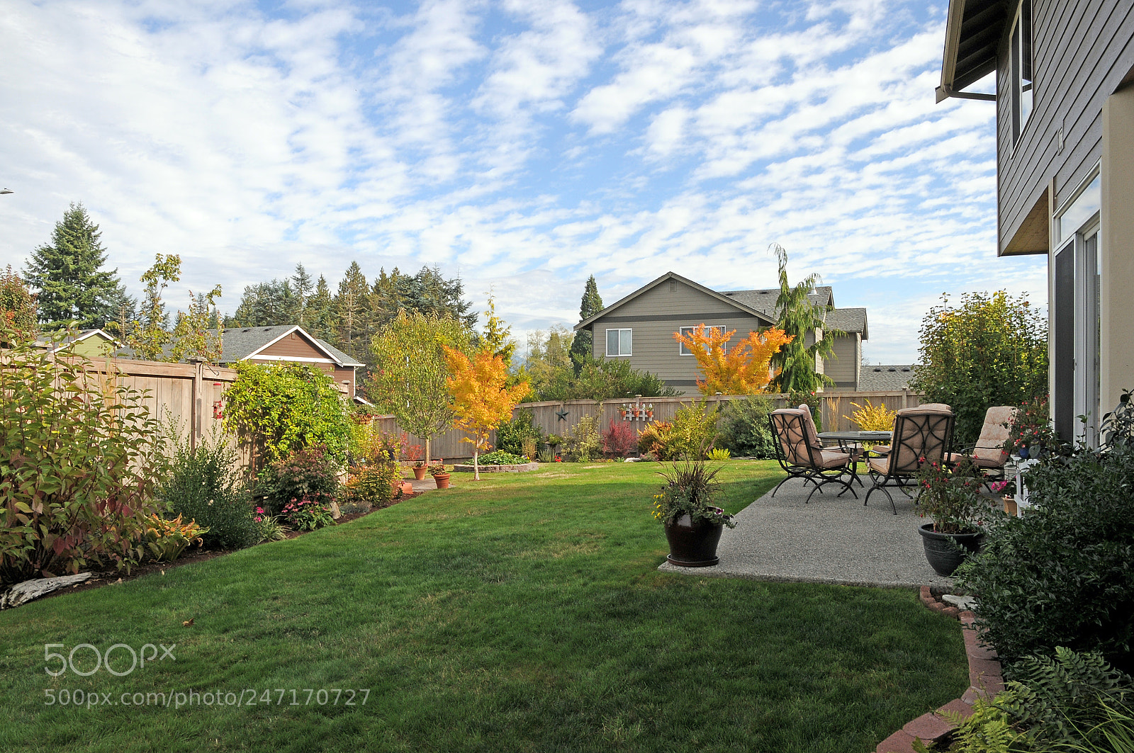Nikon D300 sample photo. 10062017_0051.jpg photography