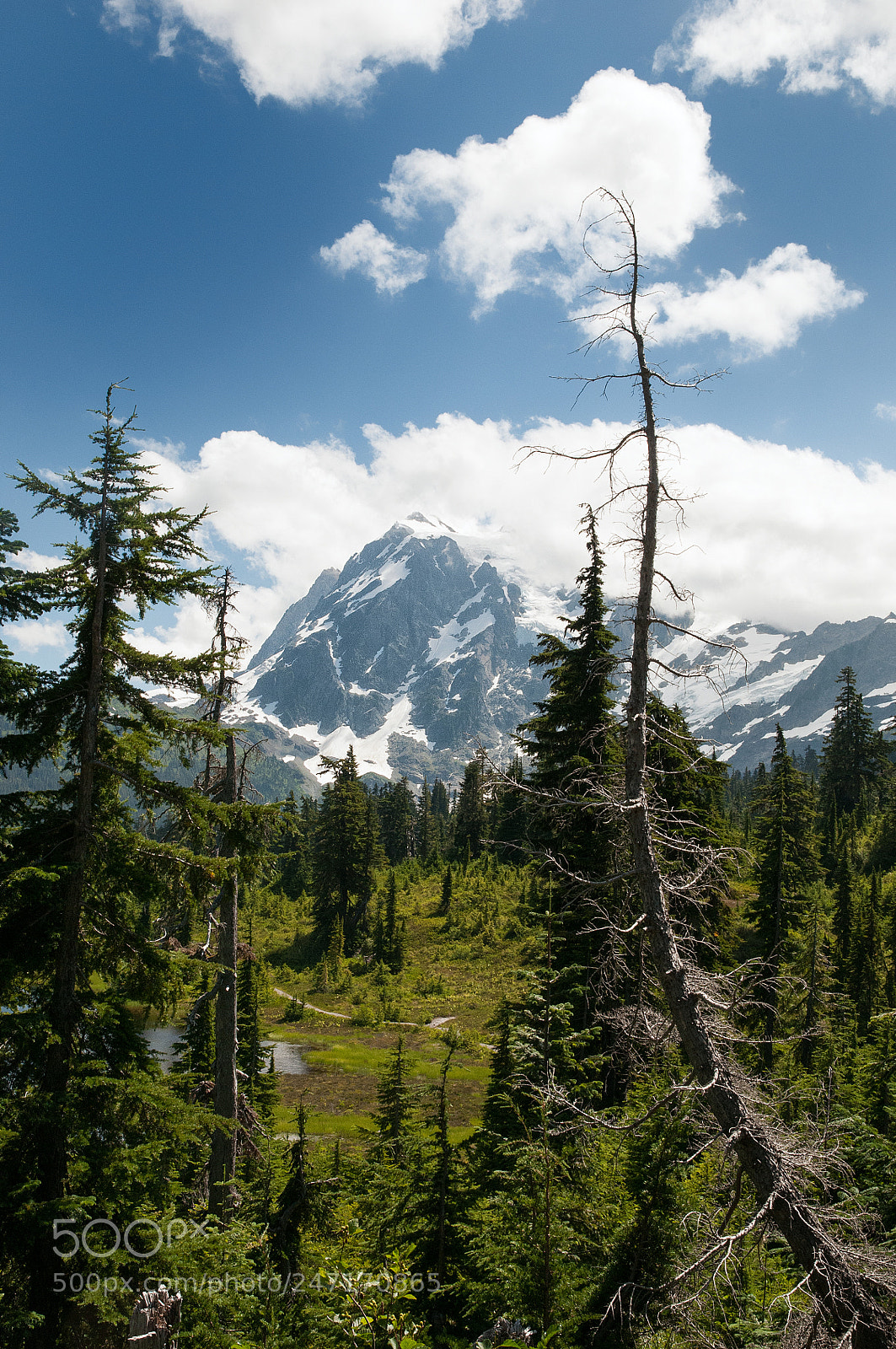 Nikon D300 sample photo. Shuksan photography