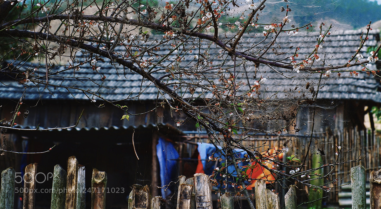 Fujifilm X-A3 sample photo. Untitled photography