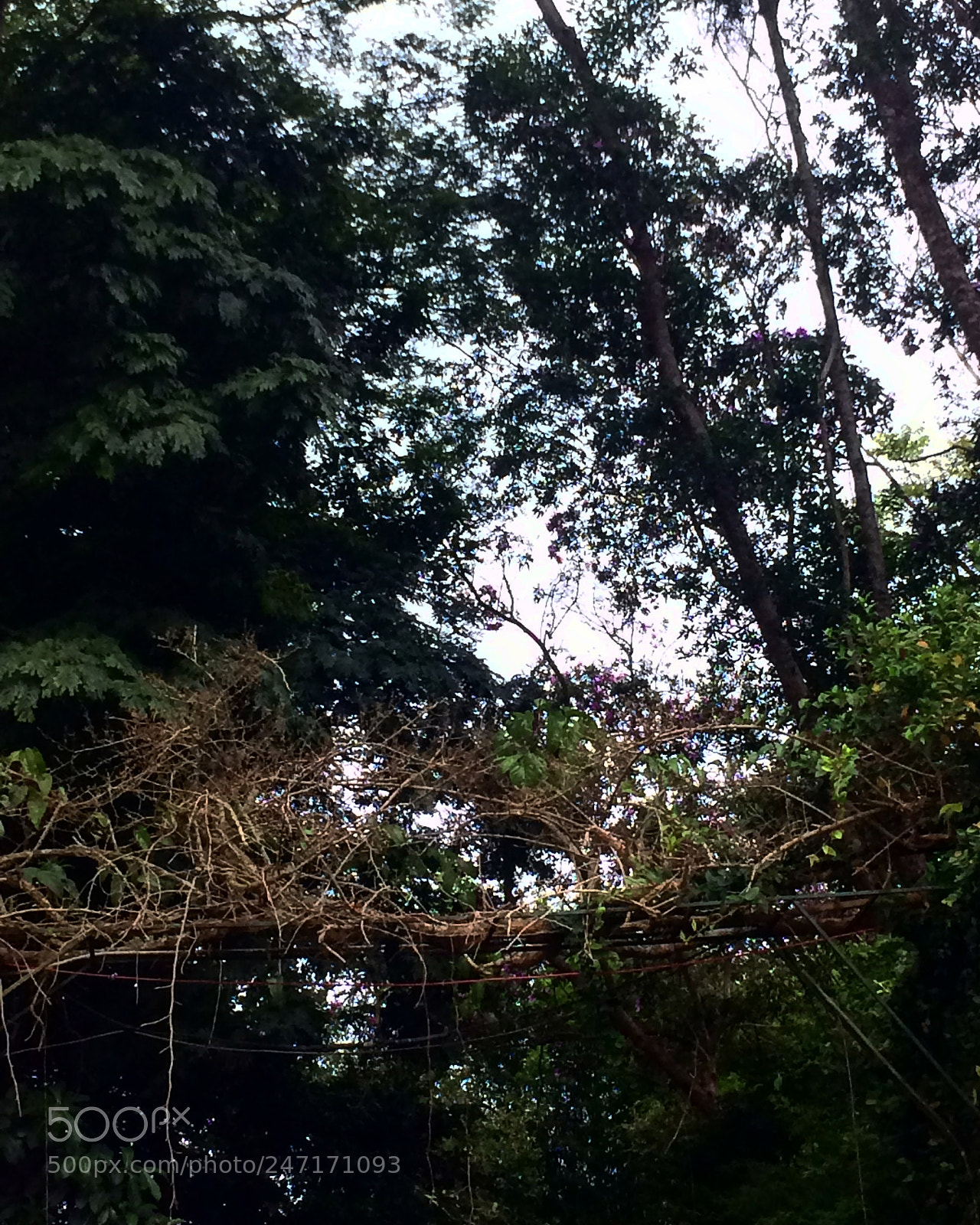 Apple iPhone 5s sample photo. Untitled photography