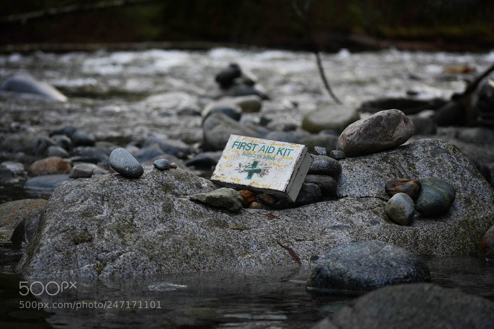 Nikon D3400 sample photo. First aid photography
