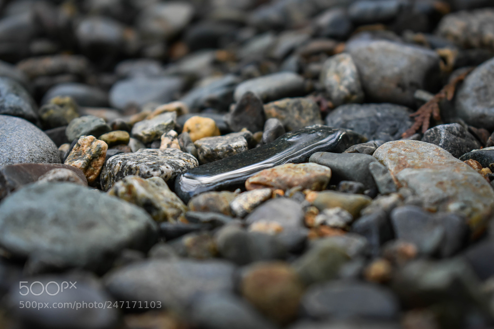 Nikon D3400 sample photo. Diamond in the rough photography