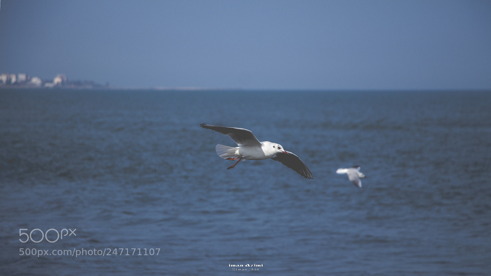 Canon EOS 700D (EOS Rebel T5i / EOS Kiss X7i) sample photo. Untitled photography