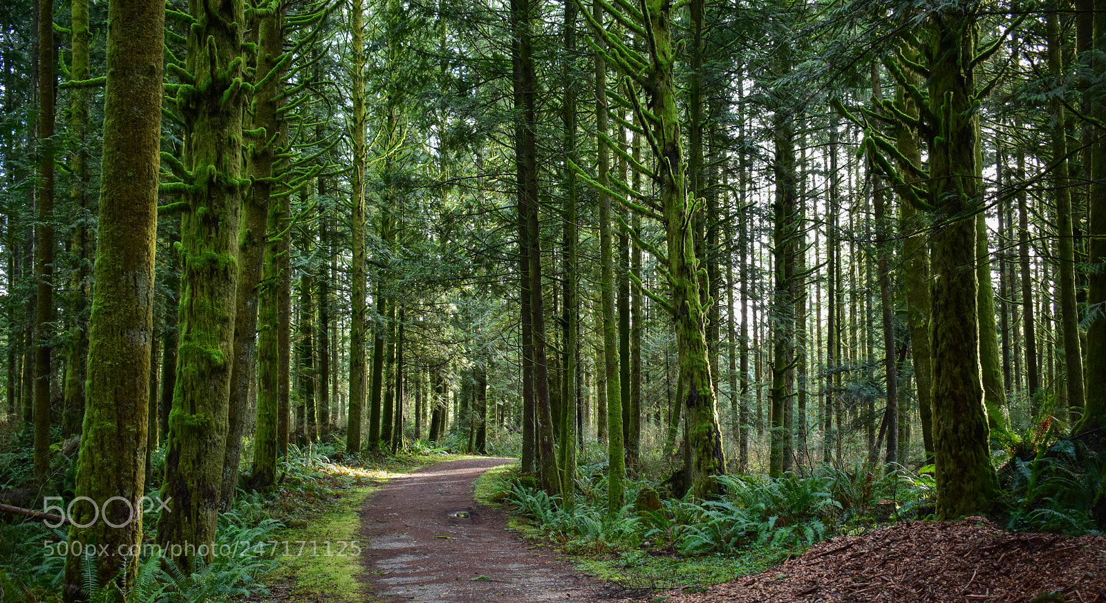Nikon D3400 sample photo. Long way home photography