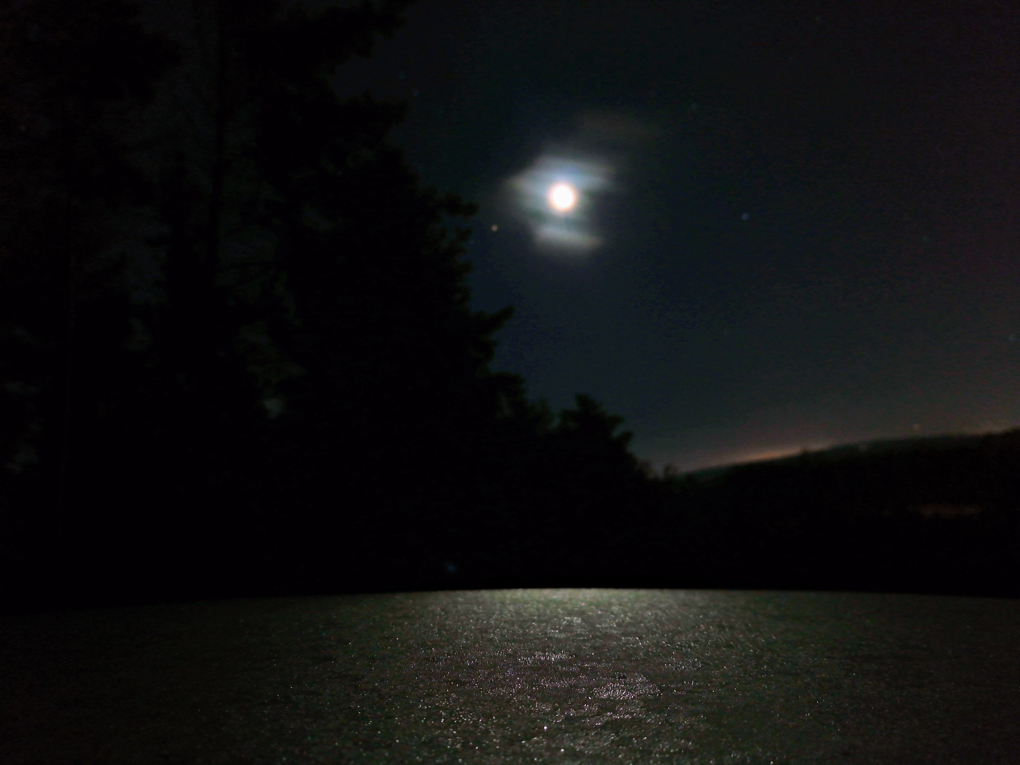 HUAWEI MATE 9 LITE sample photo. Forest night photography