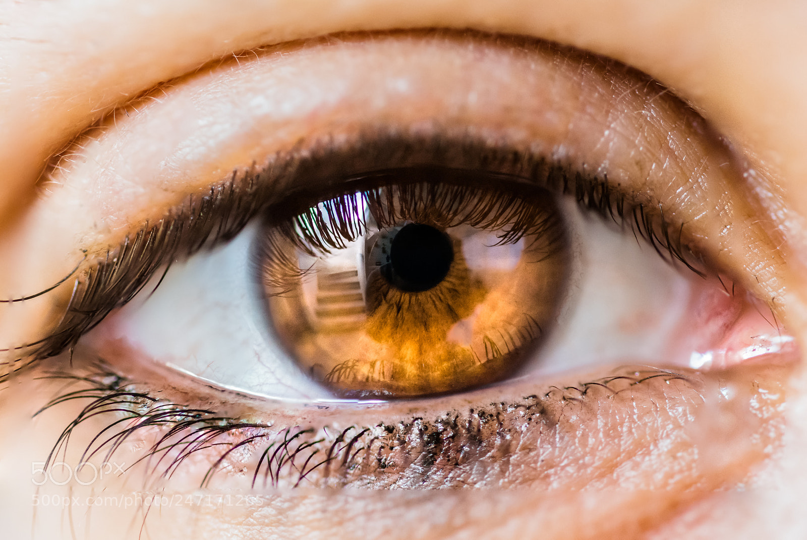 Nikon D7200 sample photo. Eye on you photography