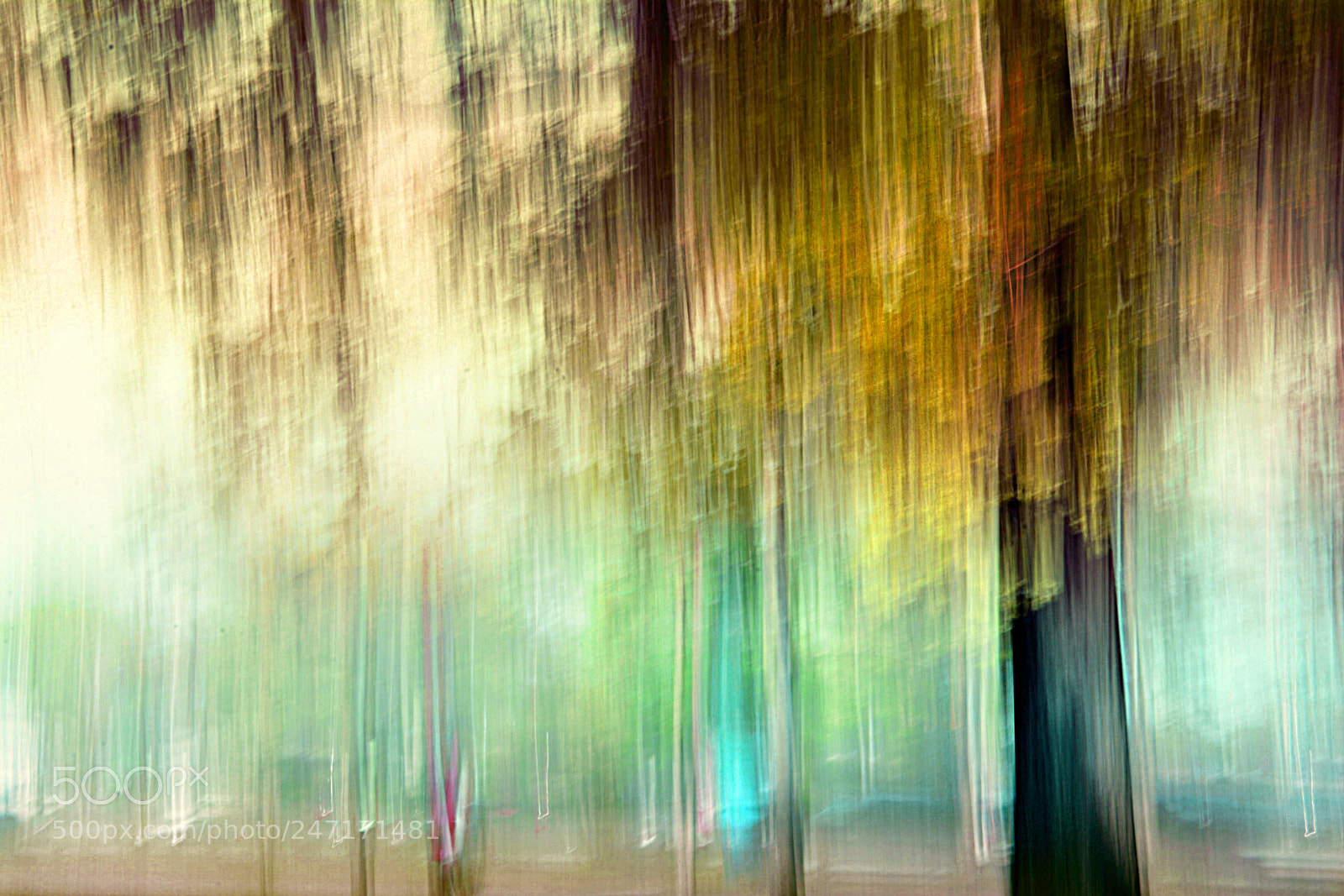 Nikon D7100 sample photo. Painting autumn photography