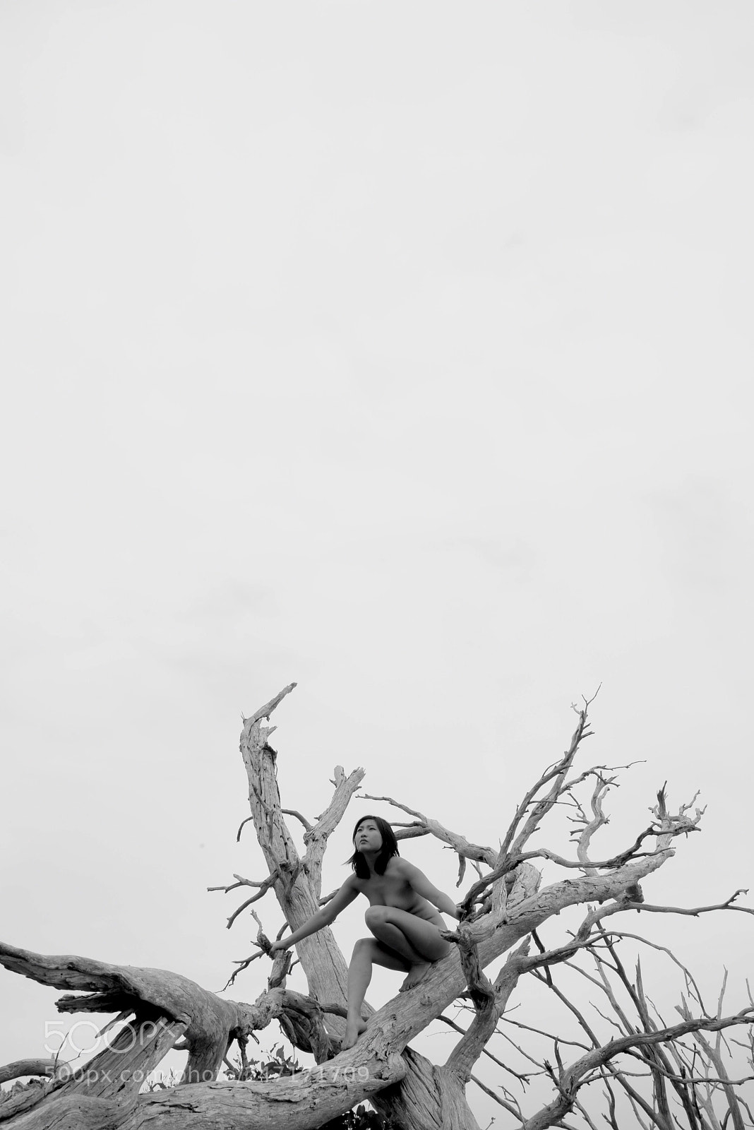 Nikon D810 sample photo. Climber photography