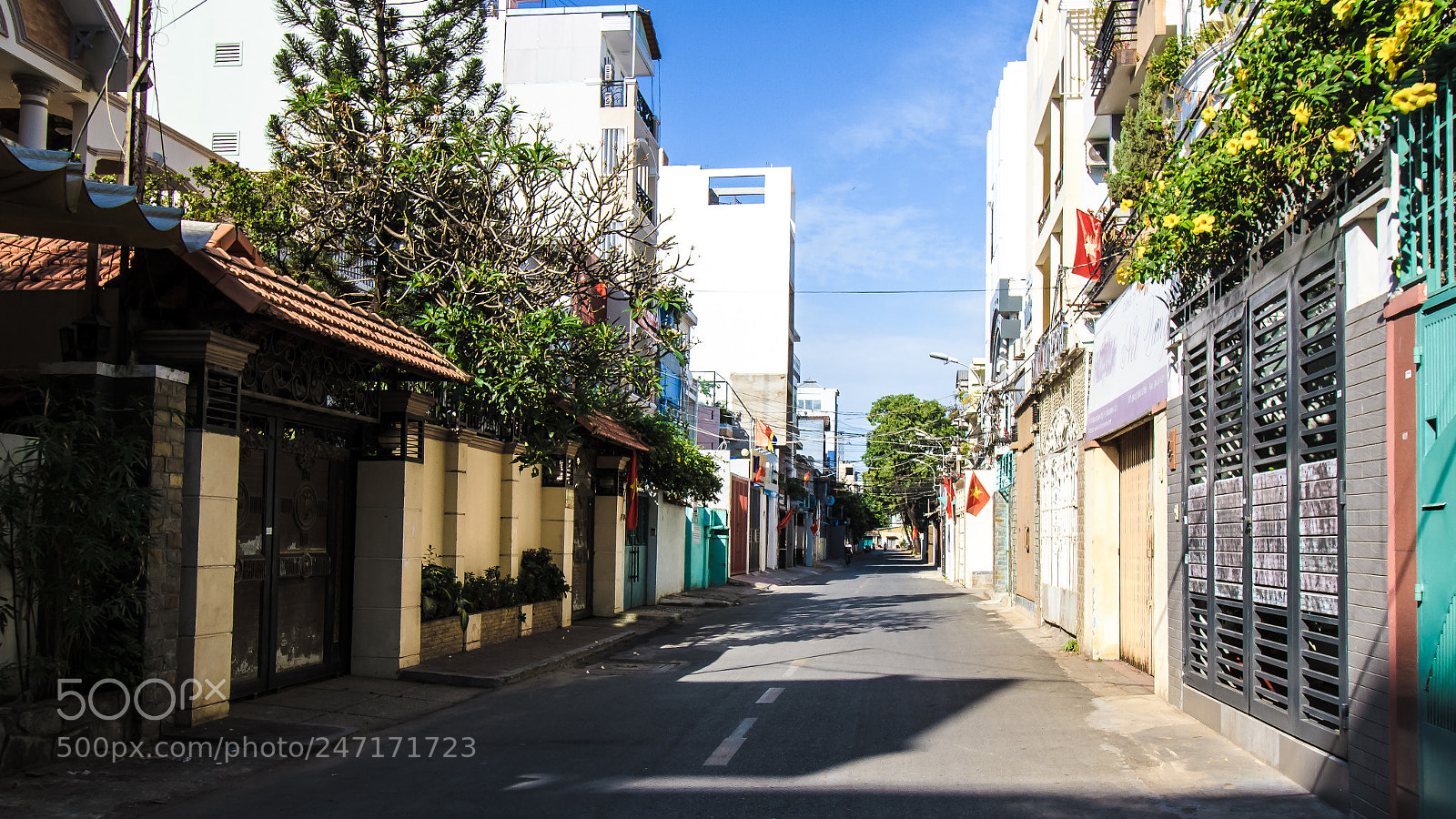 Canon EOS 7D sample photo. Sai gon lunar new photography