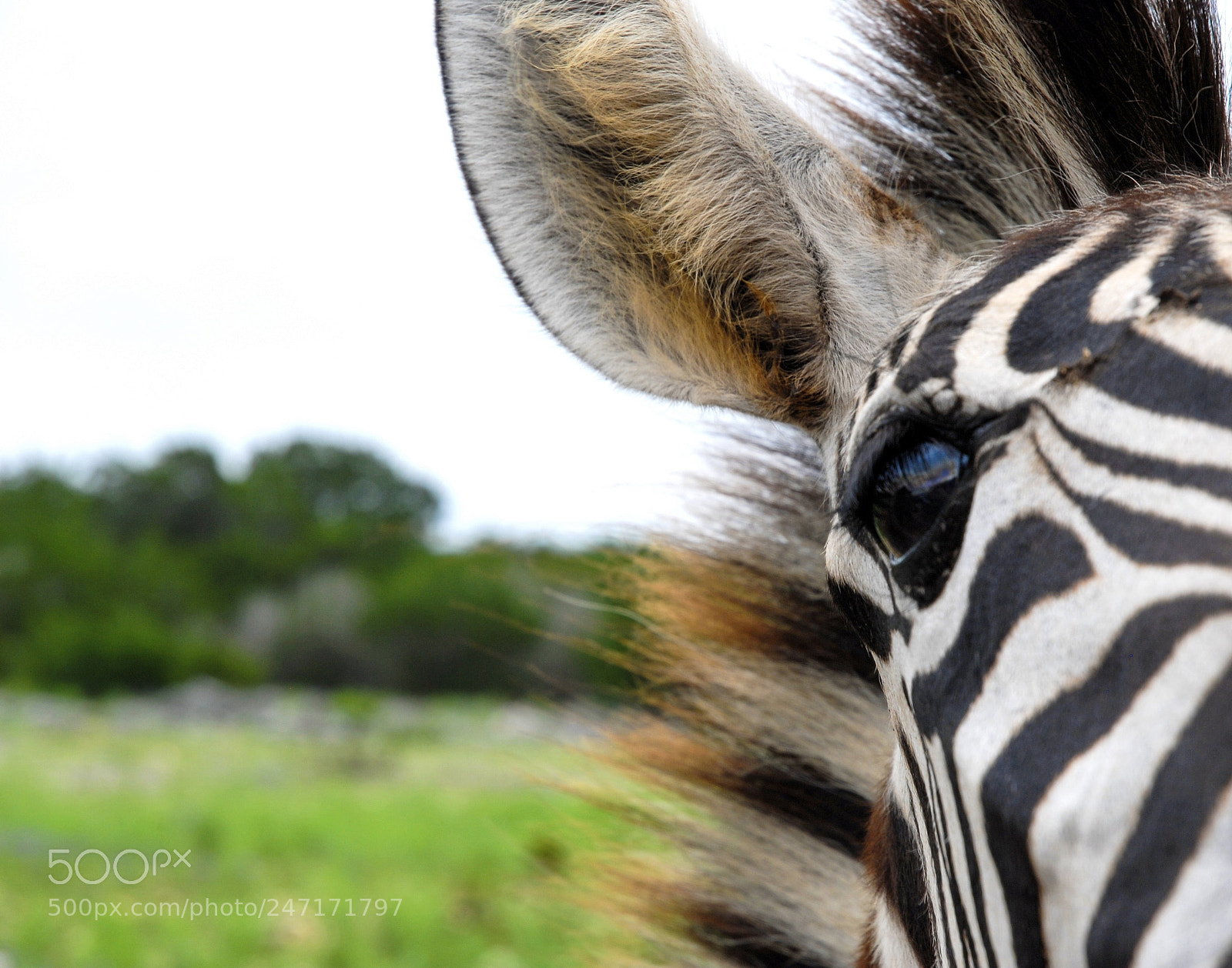 Nikon D200 sample photo. I spy photography