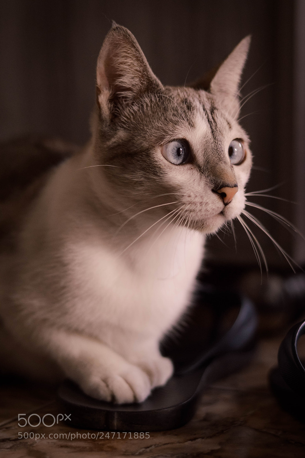 Nikon D3200 sample photo. Cindy ^¬^ photography