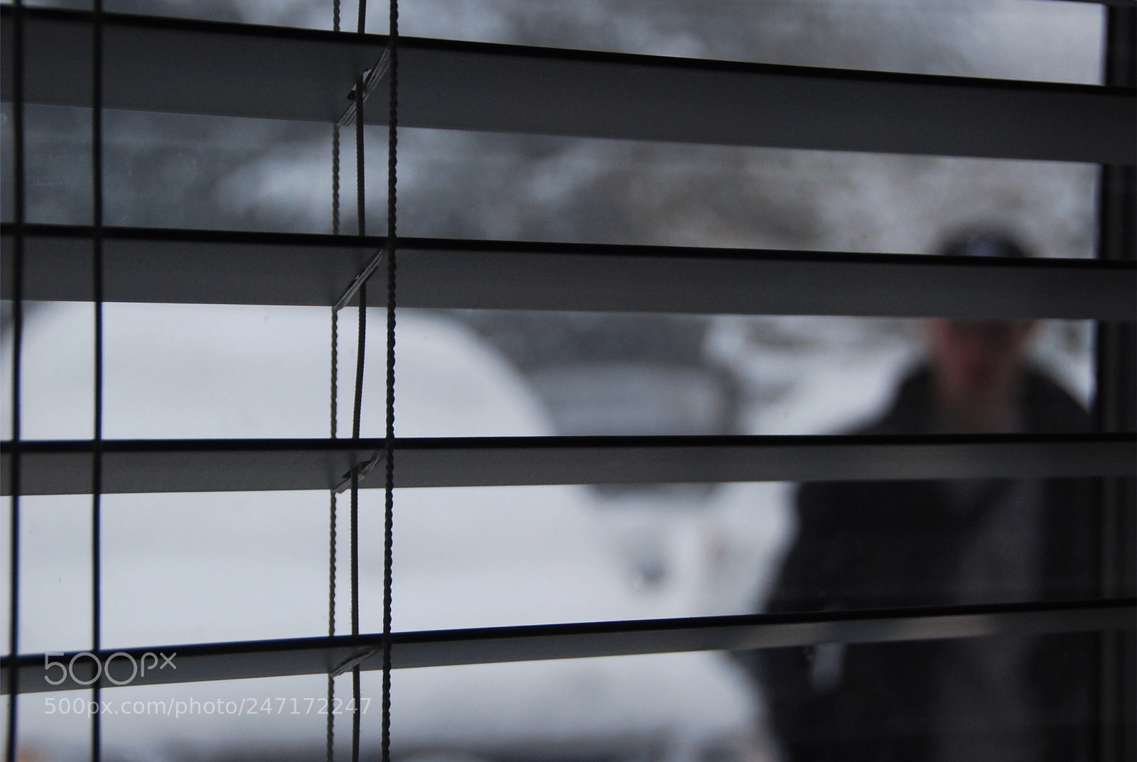 Nikon D40X sample photo. Spy photography