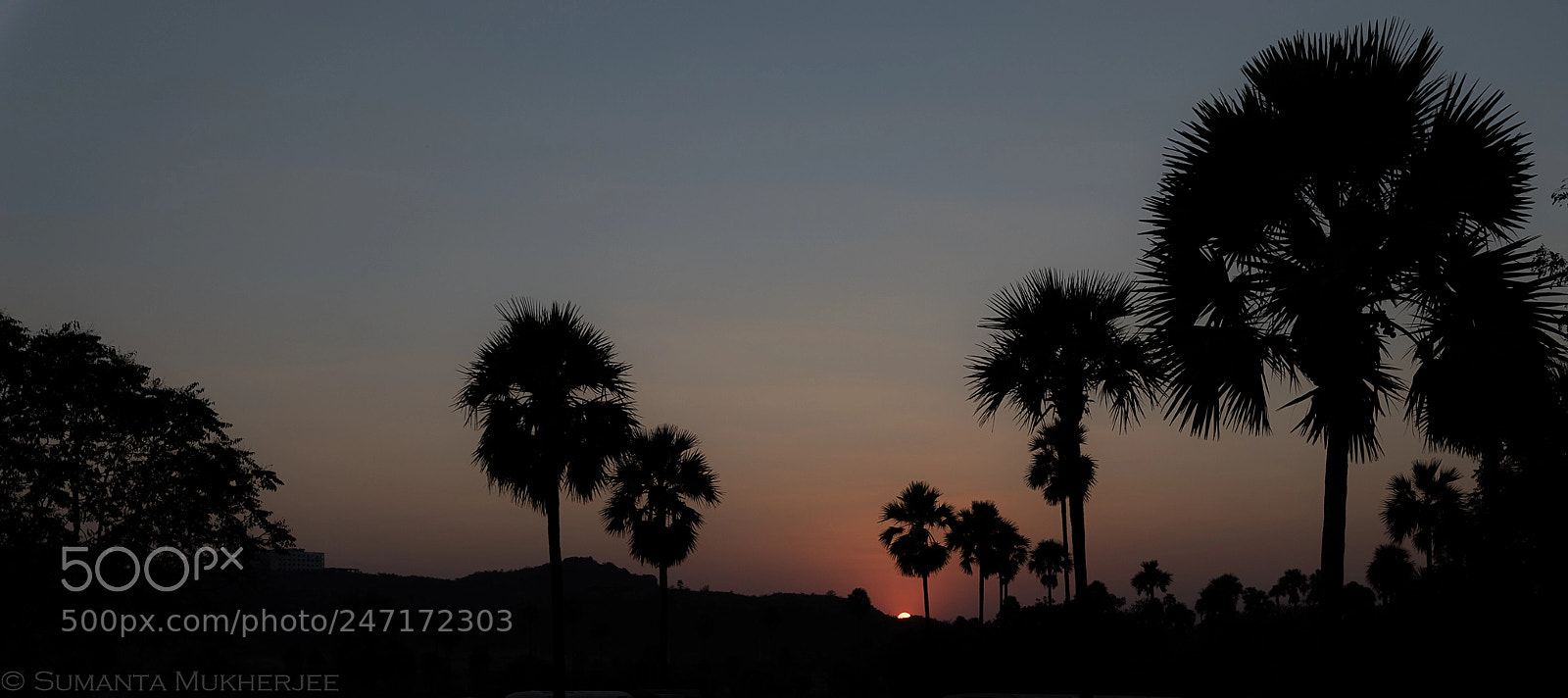 Nikon D810 sample photo. Still... photography