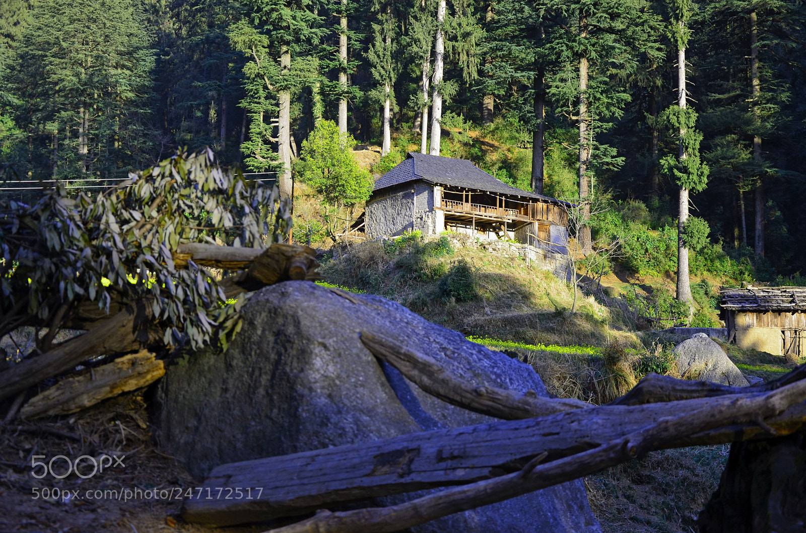Nikon D5100 sample photo. House in kainthly photography