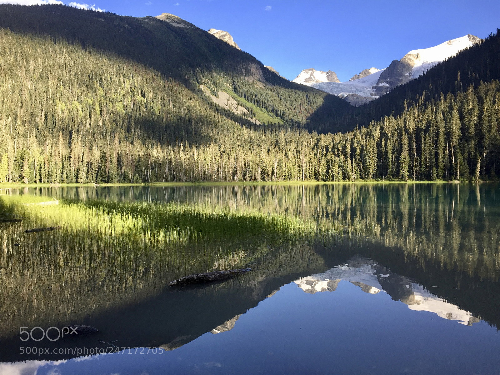 Apple iPhone 6 sample photo. Serenity photography