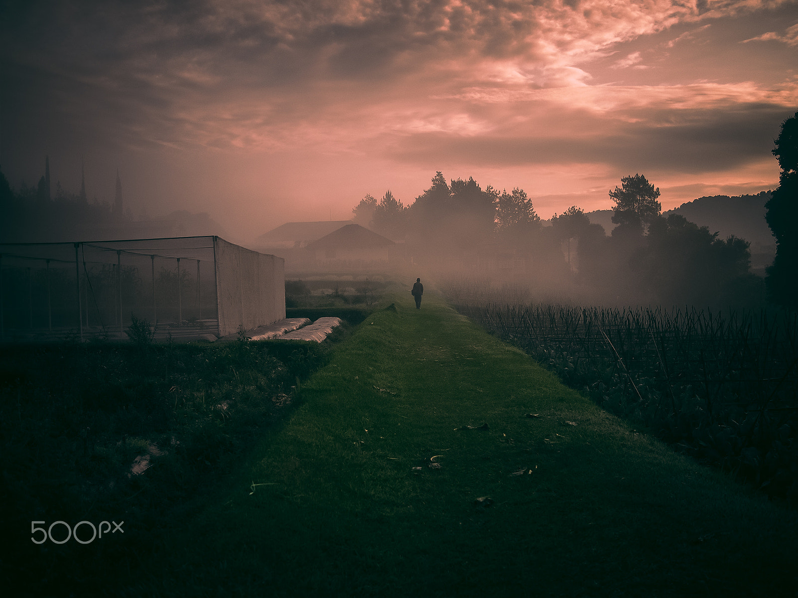 Olympus PEN E-P1 sample photo. Walking a way photography