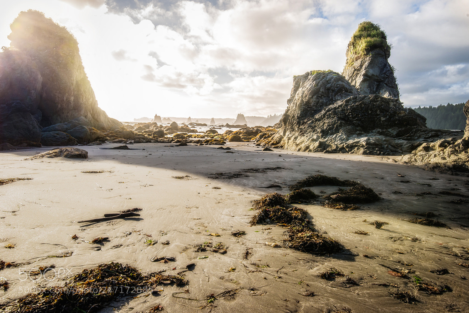 Nikon D600 sample photo. Sunset beach peach cream photography