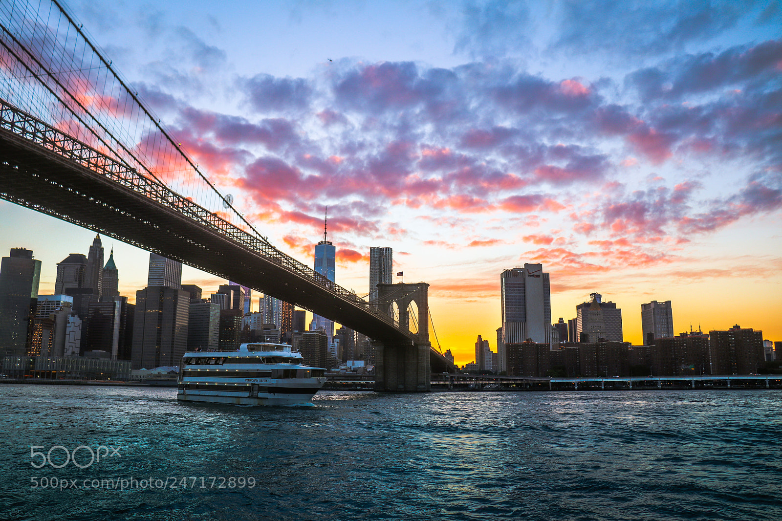 Canon EOS 800D (EOS Rebel T7i / EOS Kiss X9i) sample photo. Brooklyn photography