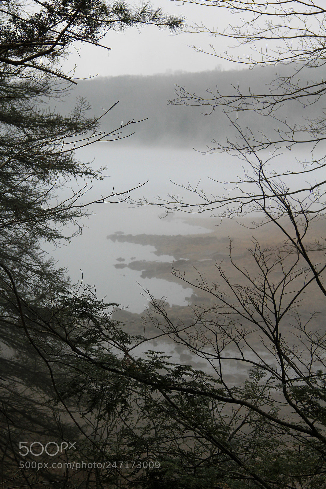 Canon EOS 60D sample photo. Fog on the resevoir photography