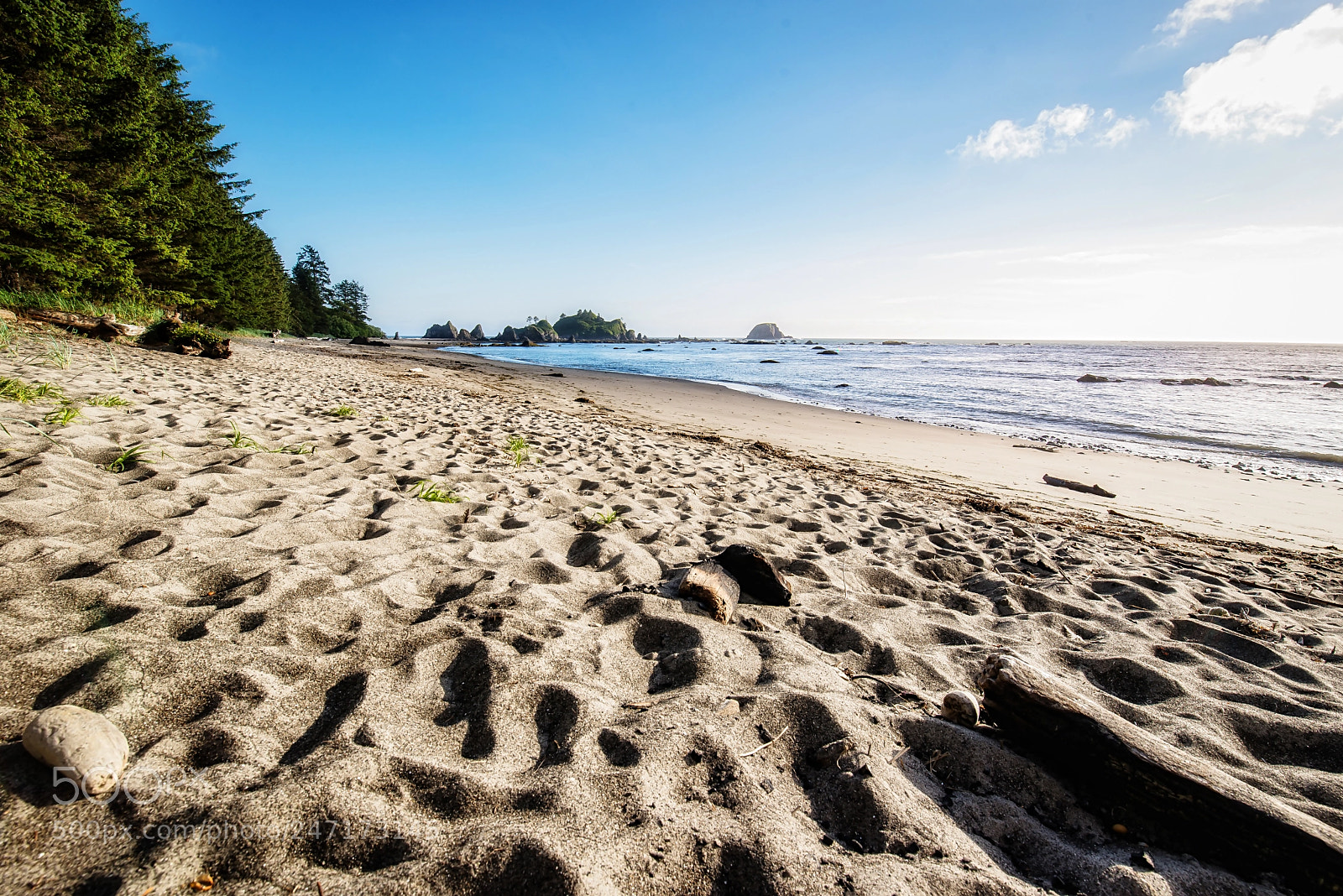 Nikon D600 sample photo. Disturbed (sand) photography