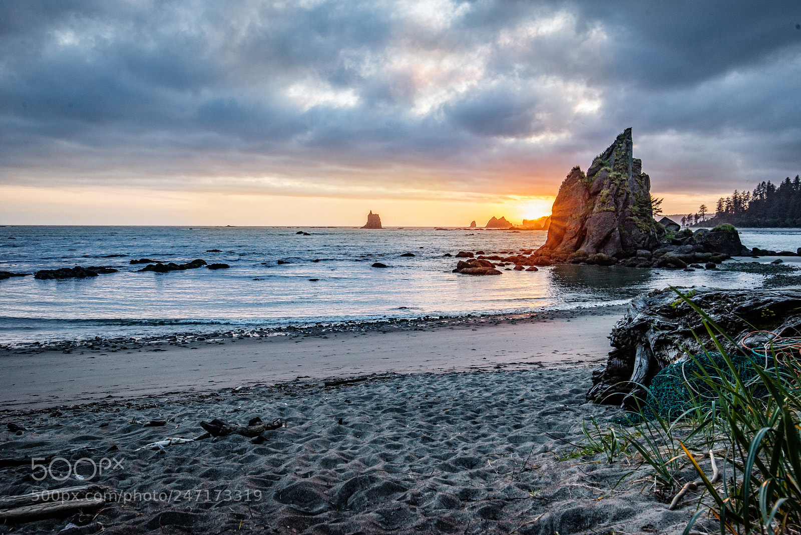 Nikon D600 sample photo. Olympic coast sunset photography