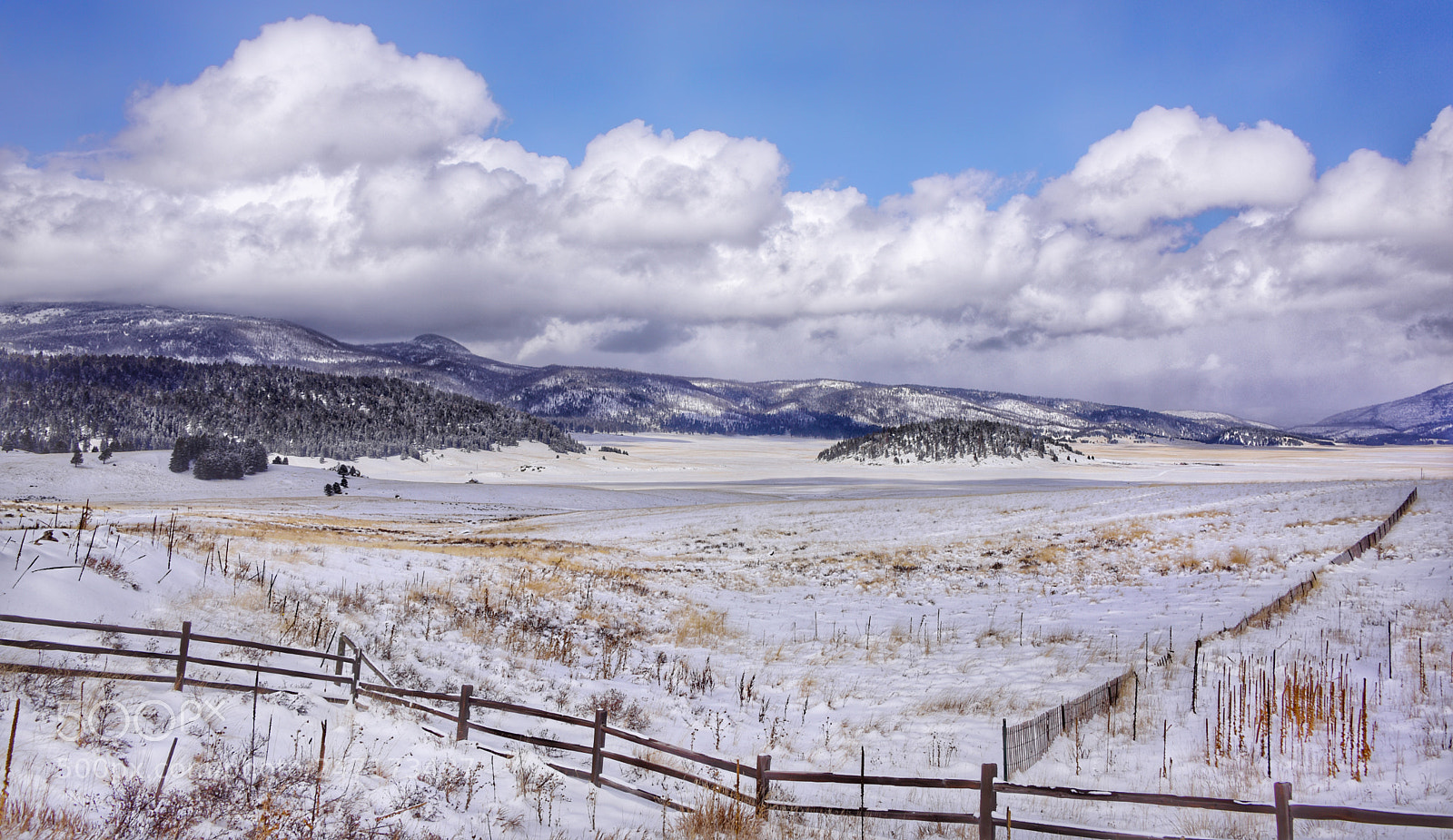 Nikon D810 sample photo. Valles caldera, new mexico photography