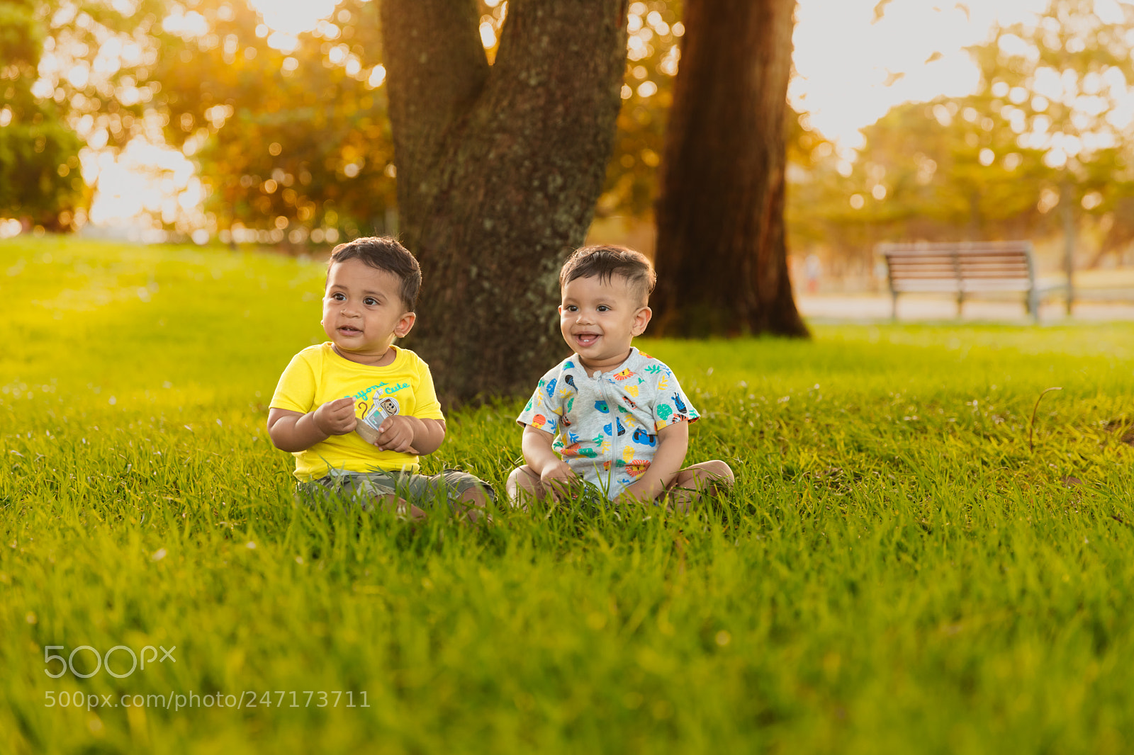 Canon EOS 6D Mark II sample photo. Edit photography