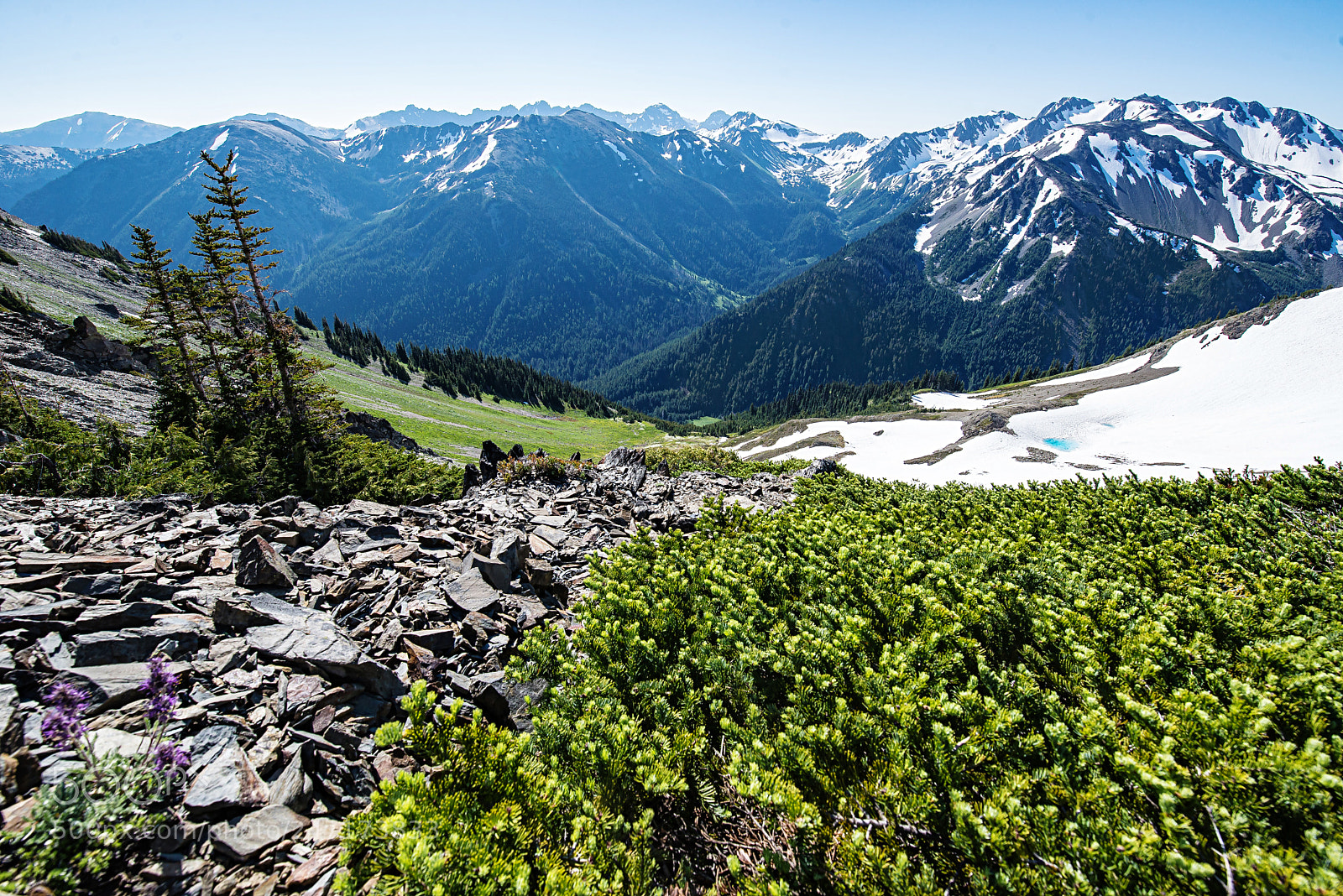 Nikon D600 sample photo. Long way down photography
