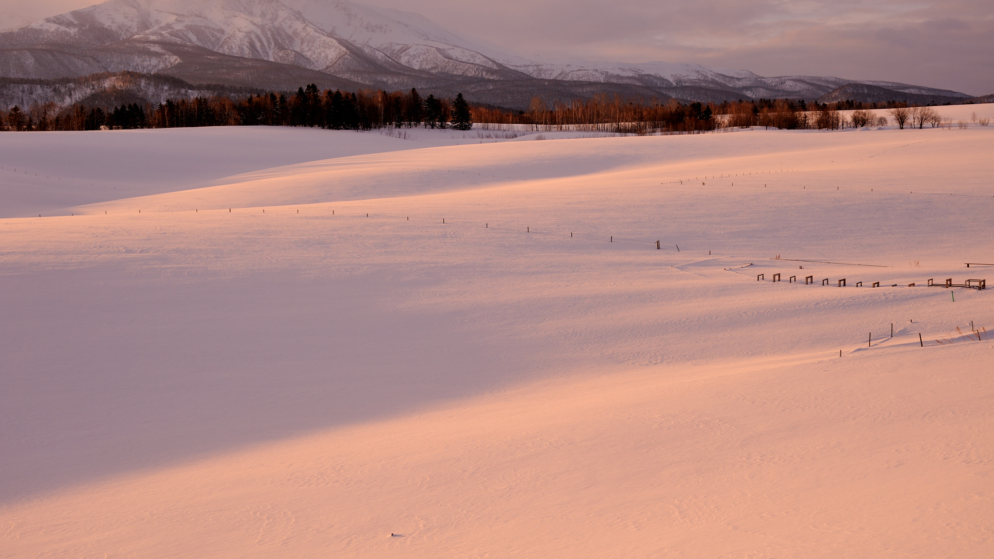Nikon D700 sample photo. Precious morning photography