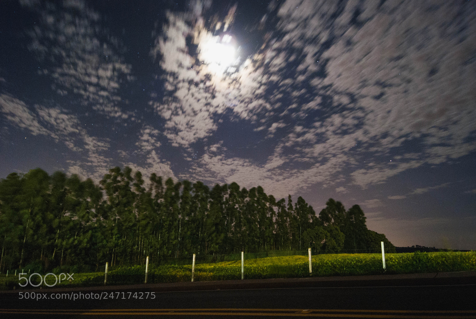 Sony Alpha DSLR-A230 sample photo. Moody night sky photography