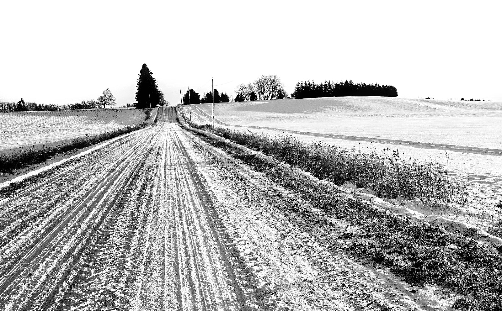 Nikon D810 sample photo. Road to somewhere photography