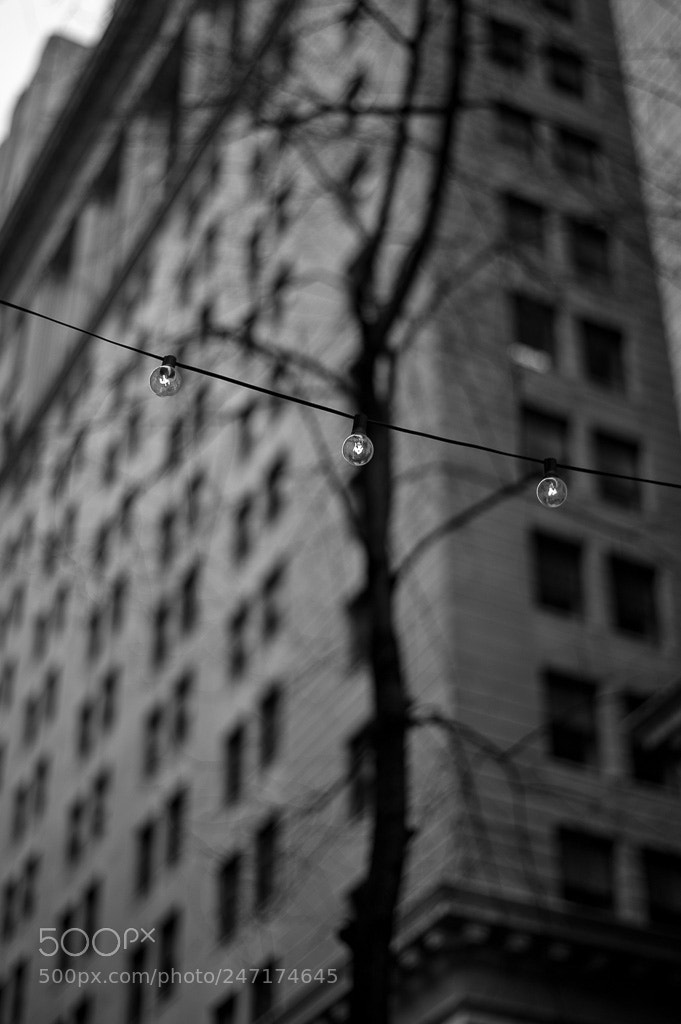 Nikon D700 sample photo. Lights photography