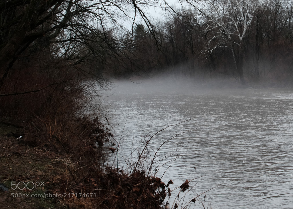 Fujifilm X-T1 sample photo. Morning mist photography