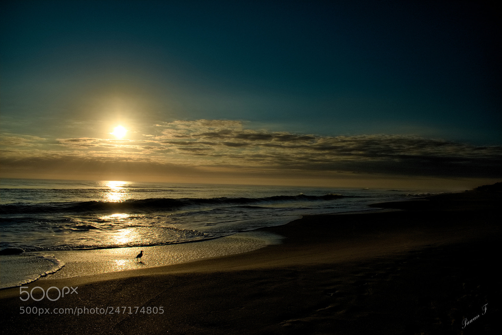 Nikon D3400 sample photo. Sunrise !! photography