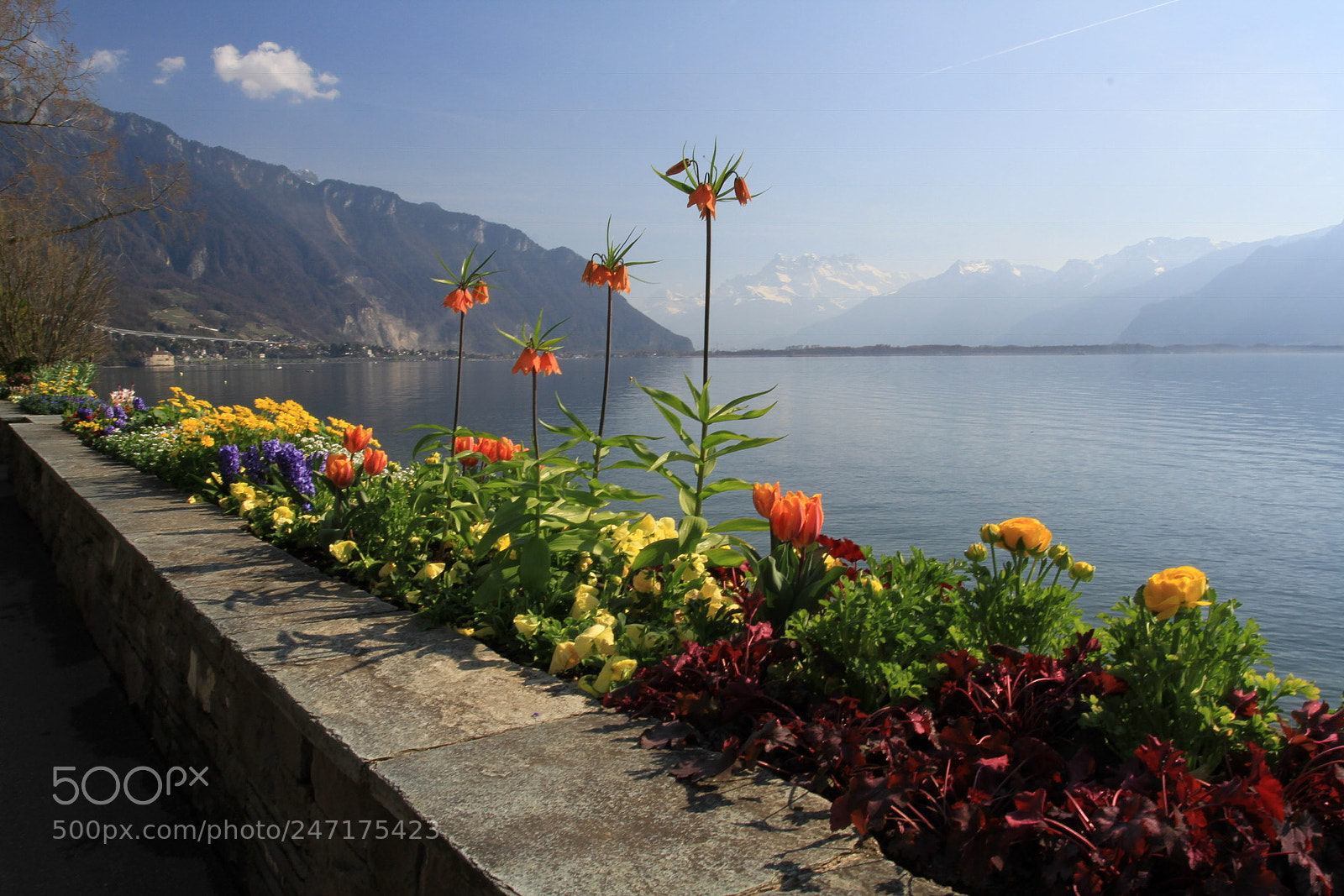 Canon EOS 7D sample photo. Lake geneva photography