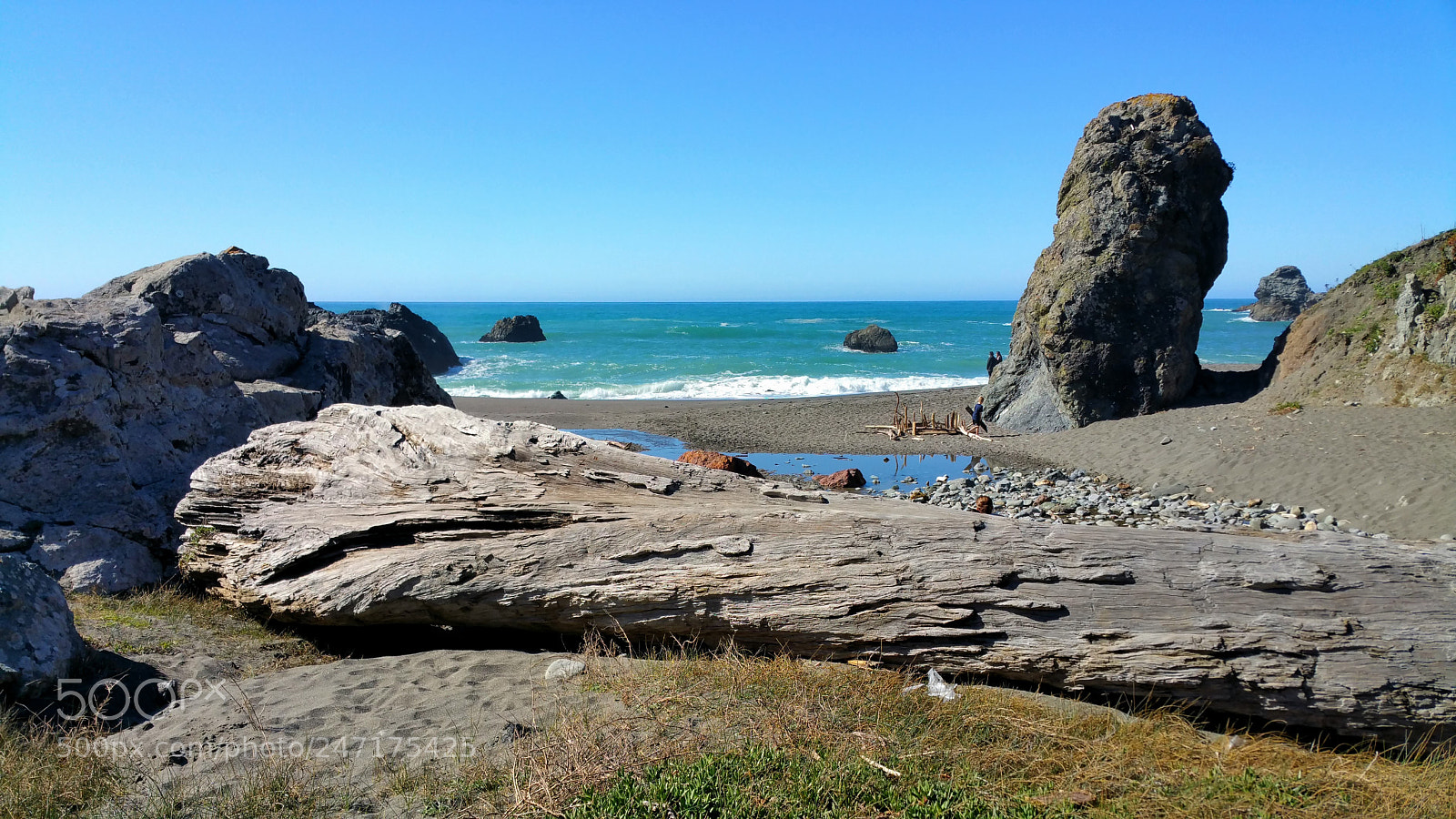 Samsung Galaxy Note4 sample photo. Now 'that's' driftwood! photography
